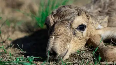 Сакен Дилдахмет, фото - Новости Zakon.kz от 08.05.2021 10:27