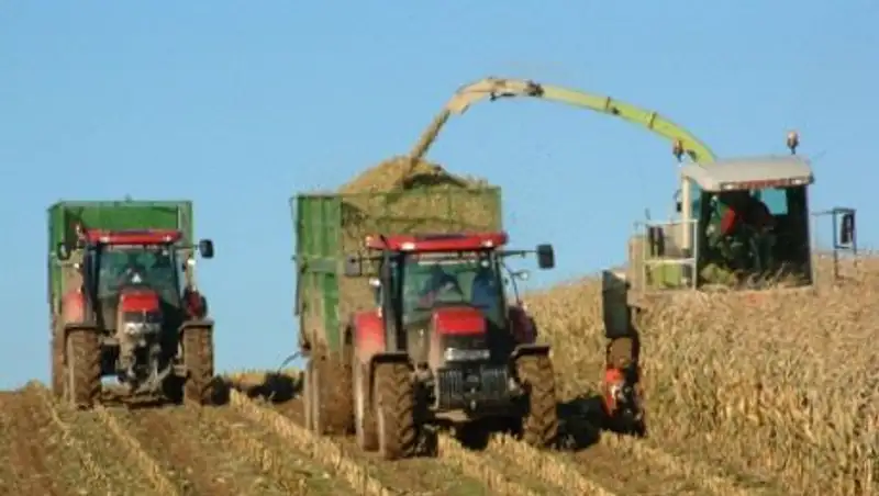 В Казахстане удешевляют кредиты для сельхозтоваропроизводителей