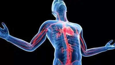 korrespondent.net, фото - Новости Zakon.kz от 21.10.2020 09:16