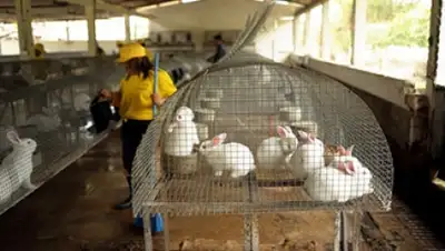 Zakon.kz, фото - Новости Zakon.kz от 21.01.2015 23:30