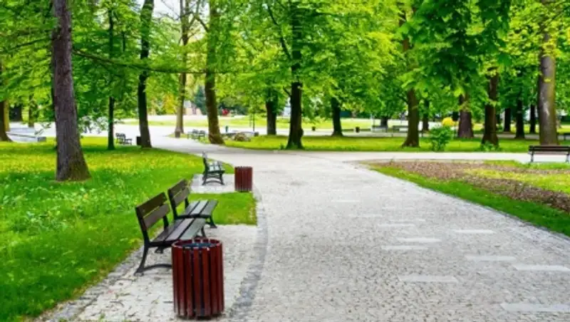 Учиться развивать парковую зону павлодарцы будут у московских коллег