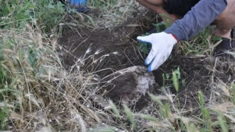 Петропавлда із-т&#1199;зсіз жо&#1171;ал&#1171;ан адамны&#1187; м&#1199;рдесі табылды