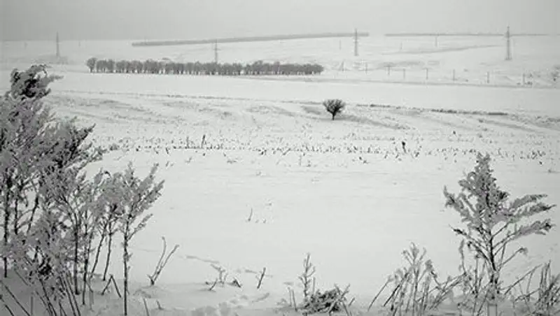 В Караганде, в степи, нашли голую пьяную женщину