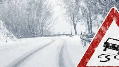 zakon.kz, фото - Новости Zakon.kz от 12.01.2021 17:54