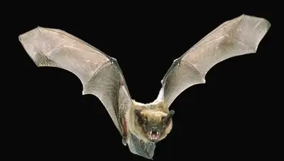 АиФ, фото - Новости Zakon.kz от 30.01.2019 16:43