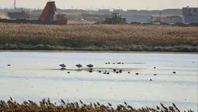 gov.kz, фото - Новости Zakon.kz от 25.10.2021 18:08