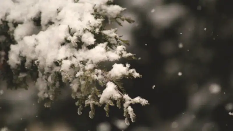 На севере и западе Казахстана ожидаются осадки