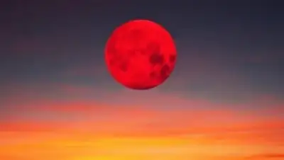 Zakon.kz, фото - Новости Zakon.kz от 16.10.2016 16:27