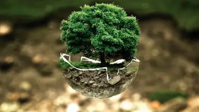 pixabay.com, фото - Новости Zakon.kz от 16.05.2019 19:36