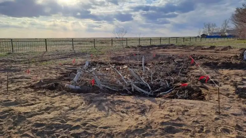 В Павлодарской области ребенок провалился в школьную выгребную яму