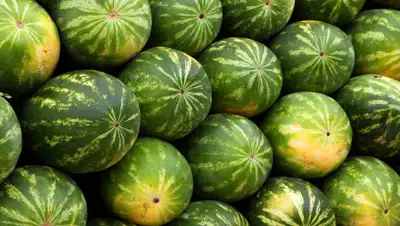 Pixabay, фото - Новости Zakon.kz от 20.07.2020 19:14