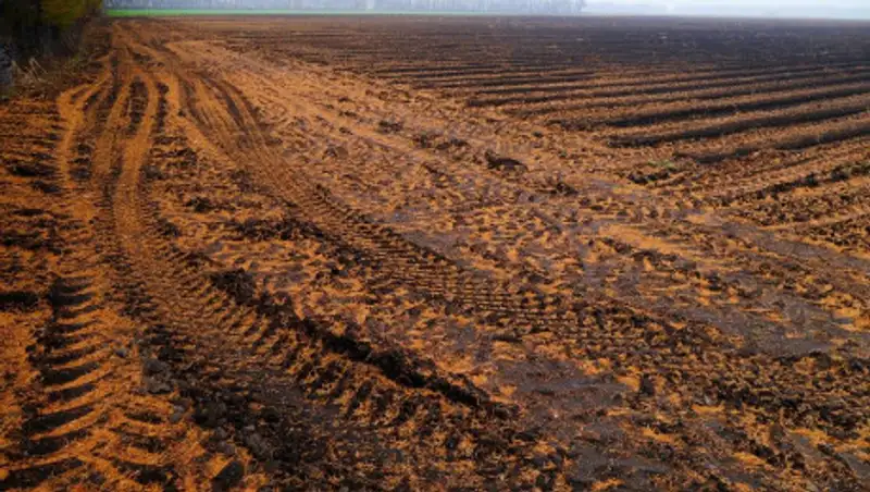 Фермеры обвинили чиновников в захвате земли