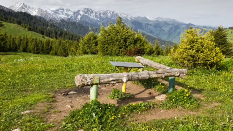 Мухамедиулы высказался о проекте Кок-Жайляу