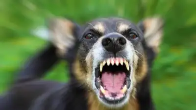 Zakon.kz, фото - Новости Zakon.kz от 29.09.2015 17:34