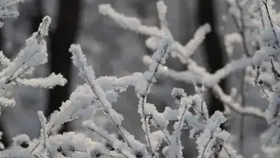 bashinform.ru, фото - Новости Zakon.kz от 06.01.2018 09:31