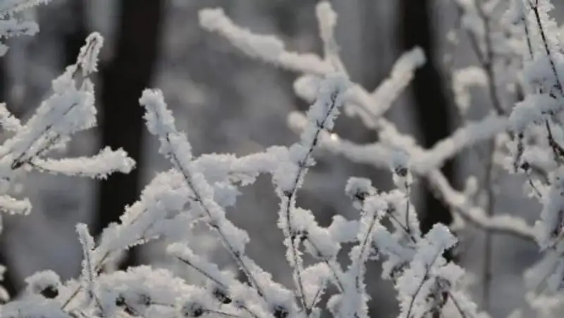 На большей части Казахстана осадков не ожидается