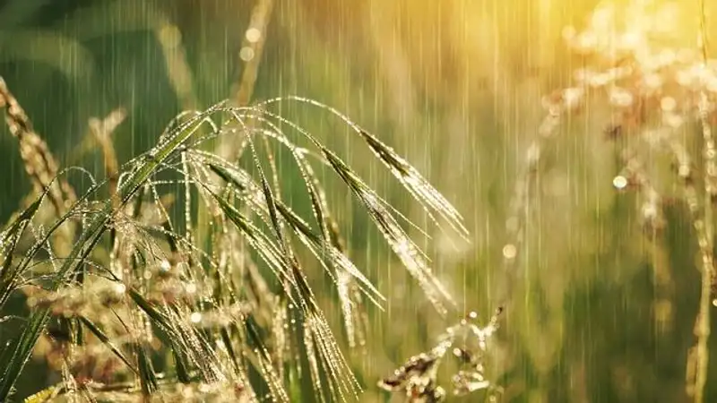 В Астане и на большей части Казахстана ожидаются гроза, град и сильная жара