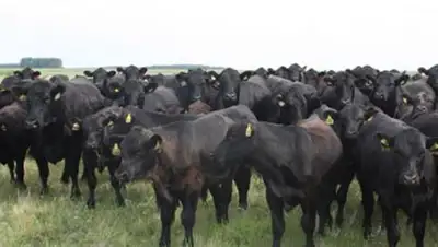 Zakon.kz, фото - Новости Zakon.kz от 06.08.2014 00:25