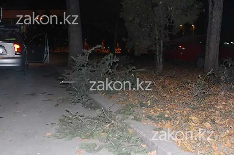 В Алматы водитель Мазды угодил в сквер перед зданием ж/д вокзала (фото), фото - Новости Zakon.kz от 18.10.2013 15:18