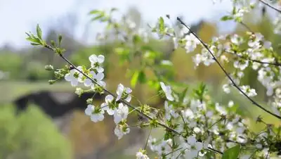 pixabay.com, фото - Новости Zakon.kz от 29.04.2021 14:54