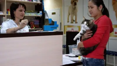 vetcliniki.ru, фото - Новости Zakon.kz от 12.03.2018 14:55