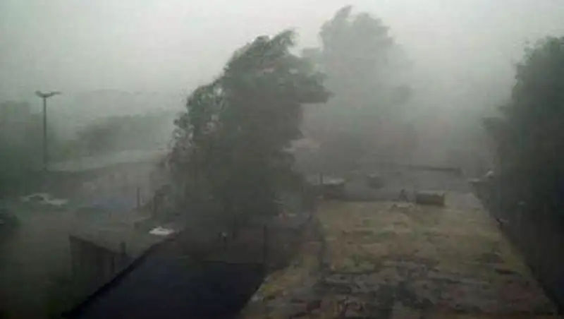 Ураган оставил на 2 дня без света жителей 100 домов в Алматинской области