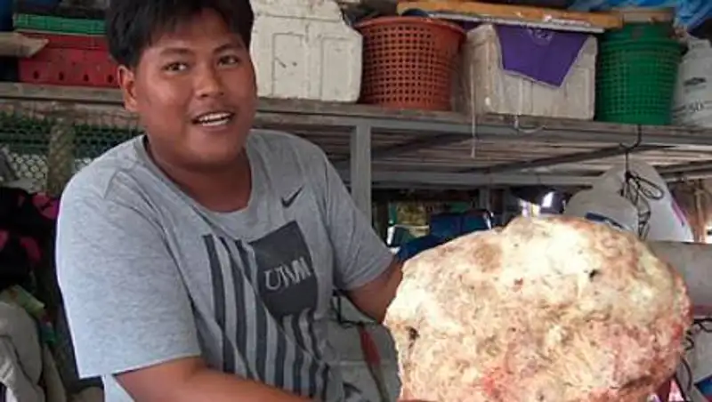 Рыбак нашел на пляже рвоту кашалота на 9,7 миллиона тенге