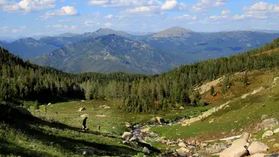 yvision.kz, фото - Новости Zakon.kz от 22.07.2019 11:01