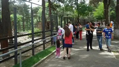 Zakon.kz, фото - Новости Zakon.kz от 18.08.2015 17:27