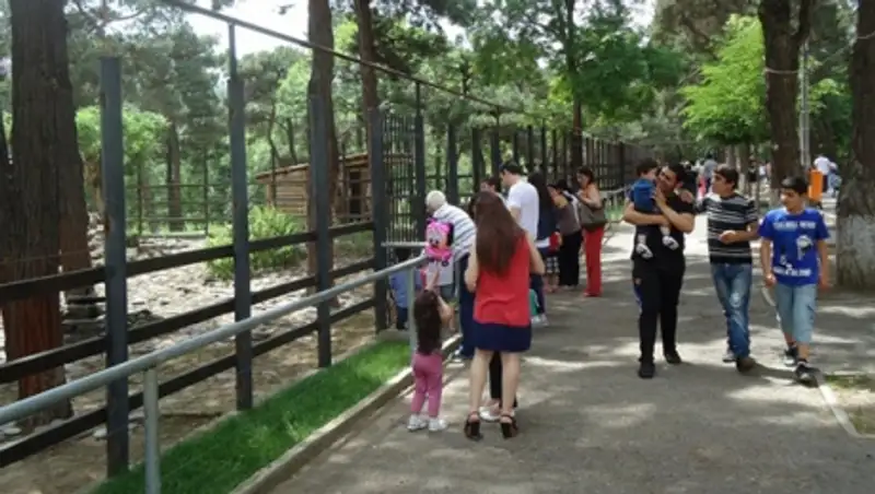 Пострадавший от наводнения Тбилисский зоопарк откроется в сентябре