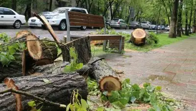 zakon.kz, фото - Новости Zakon.kz от 24.09.2021 18:35