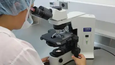 pixabay, фото - Новости Zakon.kz от 30.03.2019 11:36