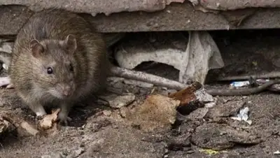 Zakon.kz, фото - Новости Zakon.kz от 30.11.2016 00:10