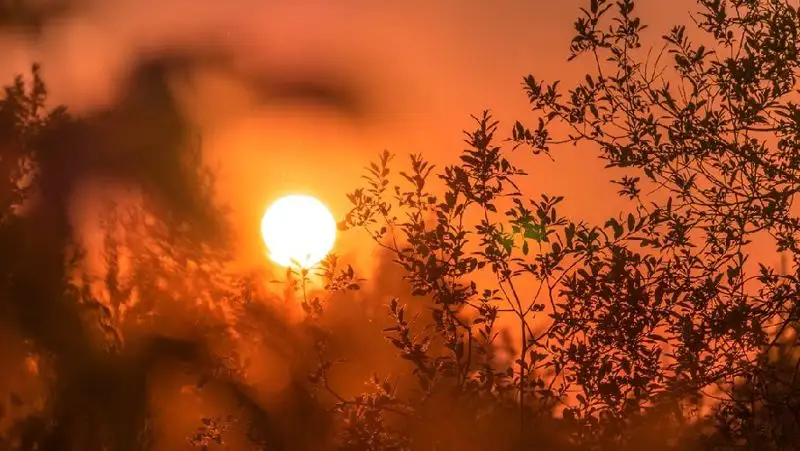 46-градусная жара и гроза: штормовое предупреждение объявлено в Шымкенте и ряде регионов РК