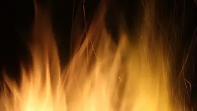 Zakon.kz, фото - Новости Zakon.kz от 27.01.2017 14:43