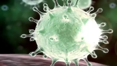 fellowtraveler.ru, фото - Новости Zakon.kz от 05.04.2020 10:17