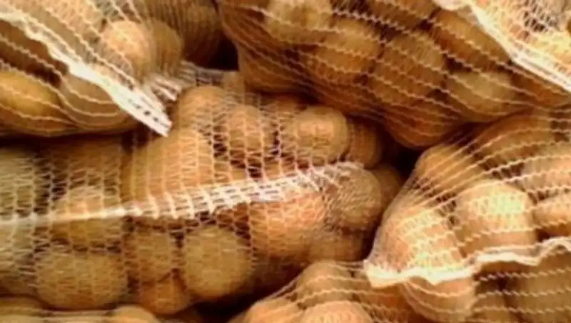 Крупную партию казахстанского картофеля пытались незаконно ввезти на территорию России