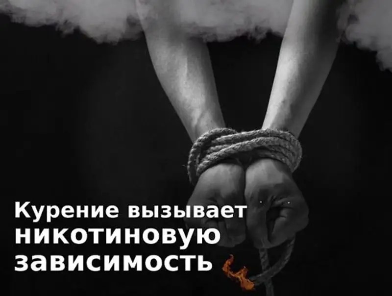 На казахстанский вейпах появятся страшные картинки о вреде курения, фото - Новости Zakon.kz от 20.02.2023 16:13