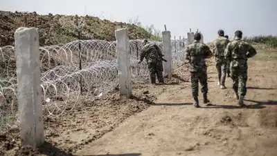 24.kg, фото - Новости Zakon.kz от 24.07.2021 14:09