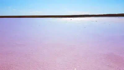 ГУ "Управление внутренней политики Акмолинской области", фото - Новости Zakon.kz от 21.07.2020 22:35
