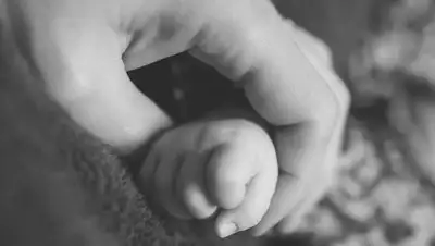 TV Губерния, фото - Новости Zakon.kz от 20.10.2018 21:18