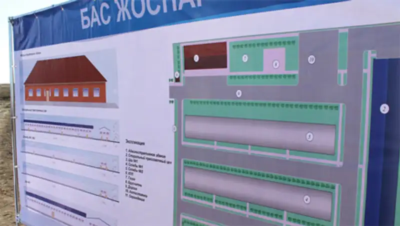 В Атырау займутся переработкой шерсти верблюдов и овец