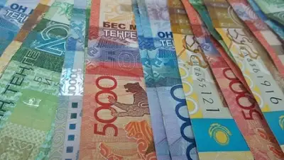 Zakon.kz, фото - Новости Zakon.kz от 27.01.2015 22:29