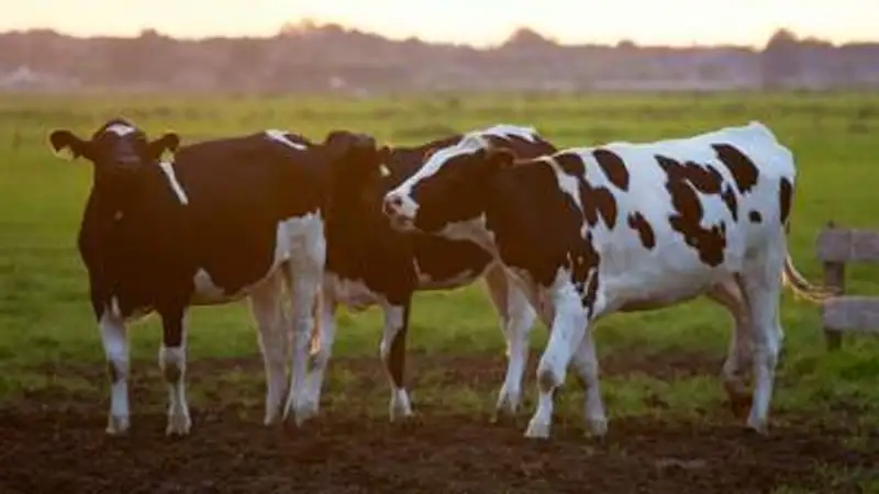 , фото - Новости Zakon.kz от 07.12.2023 09:45