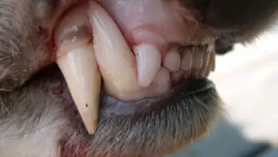 Zakon.kz, фото - Новости Zakon.kz от 10.06.2015 20:57