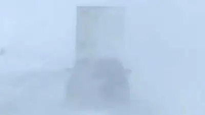 непогода, фото - Новости Zakon.kz от 29.03.2022 23:40