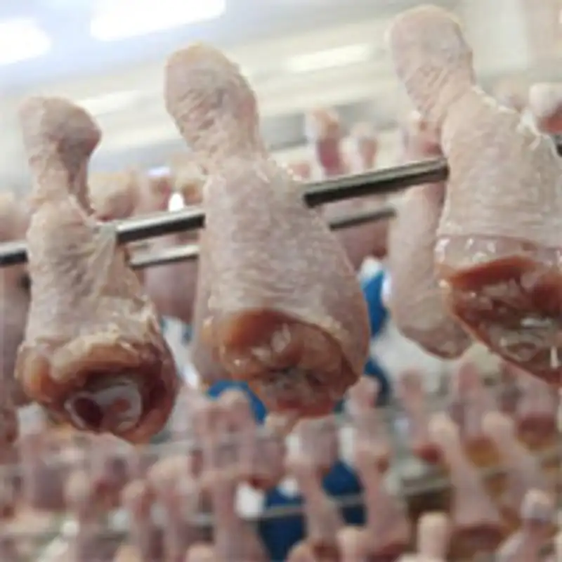 В РК уничтожено около 52 тонн недоброкачественного мяса птицы - Минсельхоз