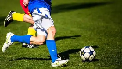 pixabay.com, фото - Новости Zakon.kz от 14.09.2021 16:53