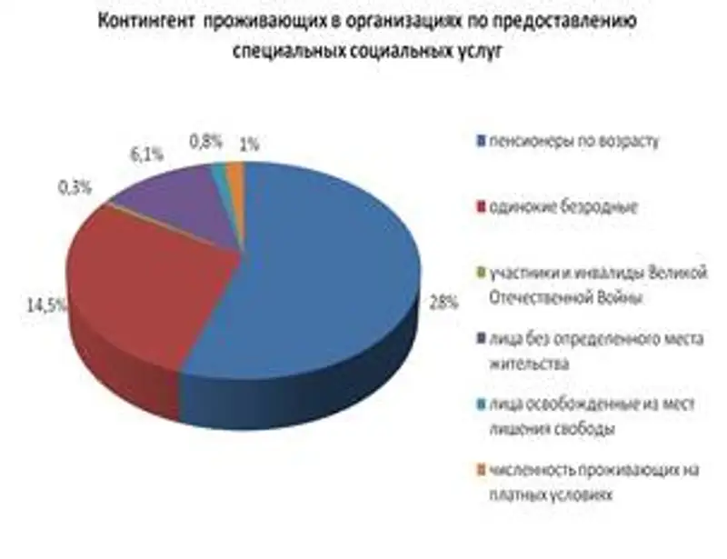 О предоставлении специальных социальных услуг в Республике Казахстан в 2016 году