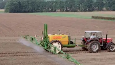 agroinfo.kz, фото - Новости Zakon.kz от 25.07.2018 16:08